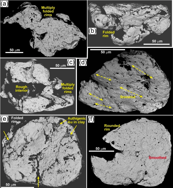 Wangaloa beach gold, showing range of shapes from highly irregular (a-c) to rounded and variably smeared and smoothed but irregular particles (d-f). Particle (e) has extensive gold (yellow arrows)