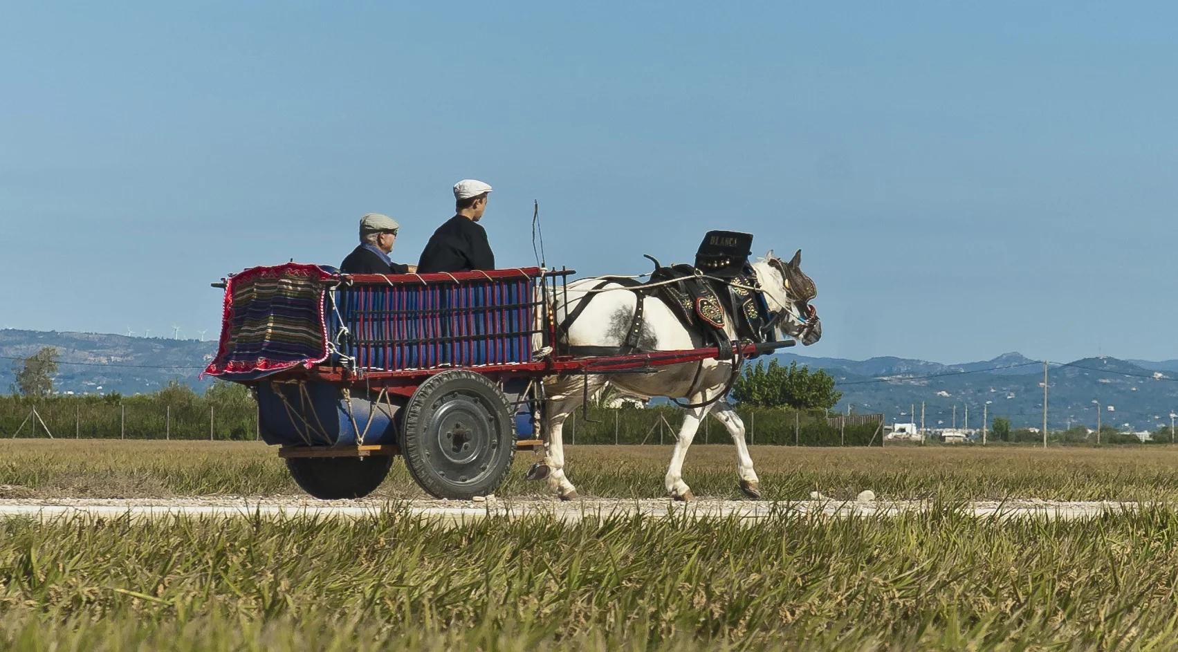 DELTEBRE, ES - SEP 19: Traditional chariots on their arrival to the Festa de la Sega (Rice Harvest Season Celebration) Sep 19, 2010 in Deltebre, ES. Anibal Trejo / Shutterstock.com