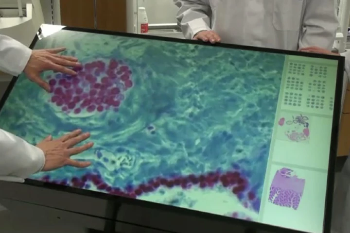 The 46-inch Multitouch Microscope