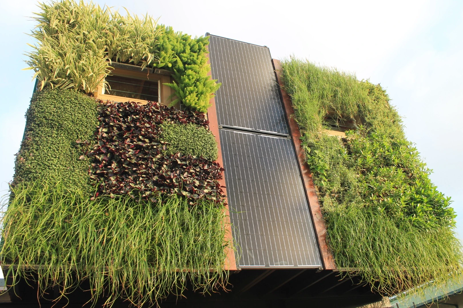 The structure boasts optional solar panels and a rooftop-based rainwater collection system that stores captured water in the pedestal