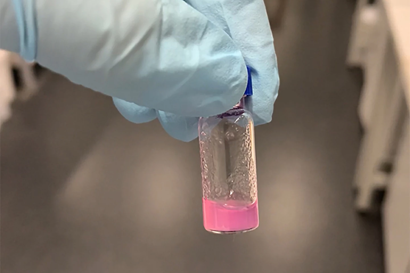 UNSW's Trpzip hydrogel, which contains no animal products