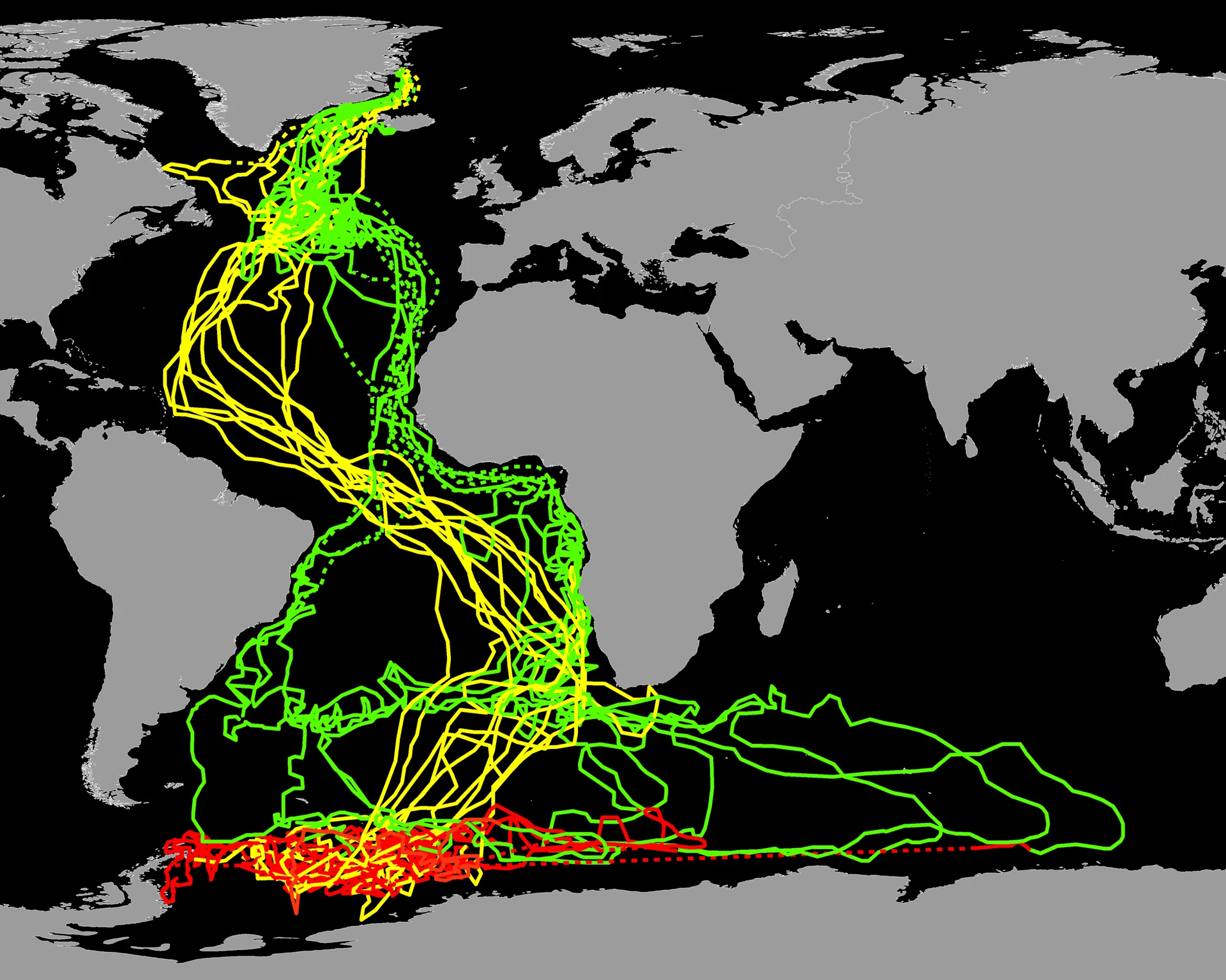 Interpolated geolocation tracks of 11 Arctic terns tracked from breeding colonies in Greenland (n = 10 birds) and Iceland (n = 1 bird). Green = autumn (postbreeding) migration (Augustâ€“November), red = winter range (Decemberâ€“March), and yellow = spring (return) migration (Aprilâ€“May). Dotted lines link locations during the equinoxes.