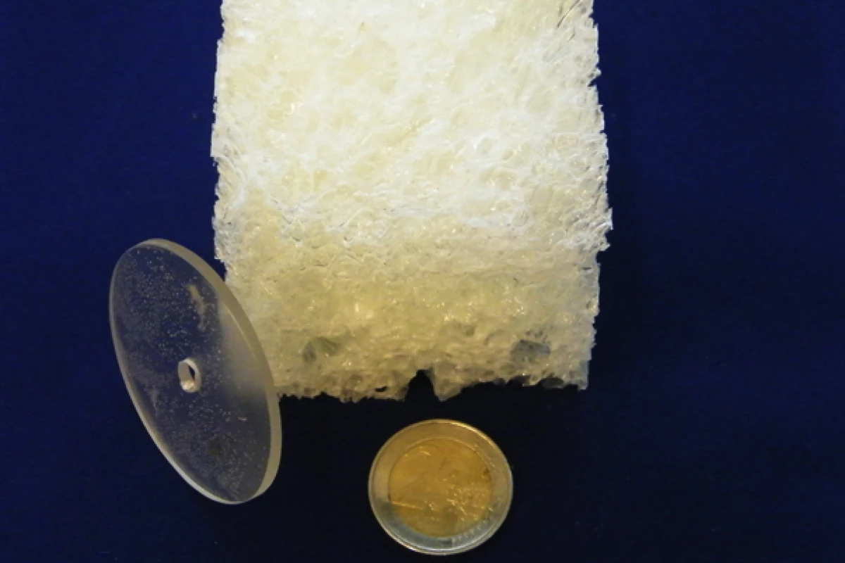 Scientists from the University of Amsterdam have developed a range of new thermoset resins made from plant materials (Image: Gadi Rothenberg)