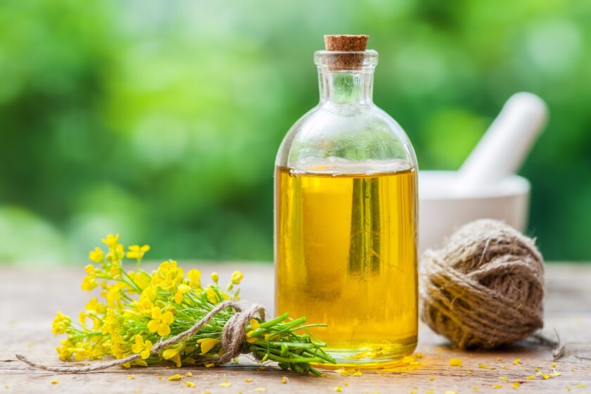 Canola oil linked to Alzheimer's complications in new study