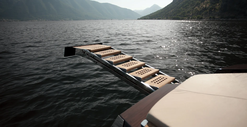 The Antagonist's foldaway ladder