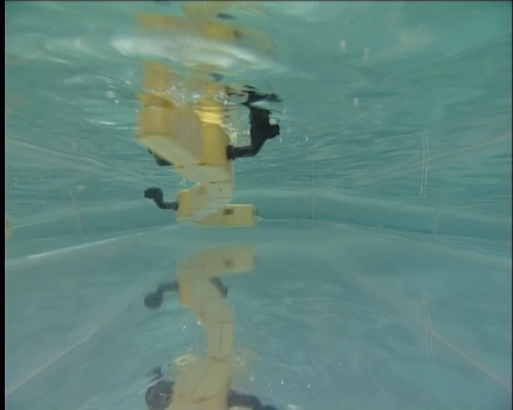 Salamandra robotica mimics a salamander by undulating its whole body to swim (Photo Credit: A. Crespi, Biorobotics Laboratory, EPFL)