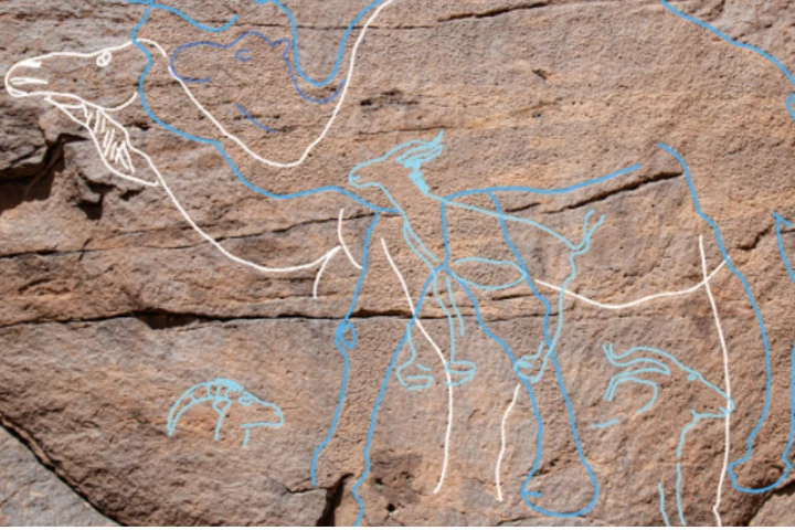 One of the impressive camel paintings, believed to indicate to passing humans that water was nearby
