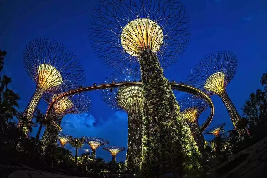Magic Trees in the Gardens by the Bay, Singapore