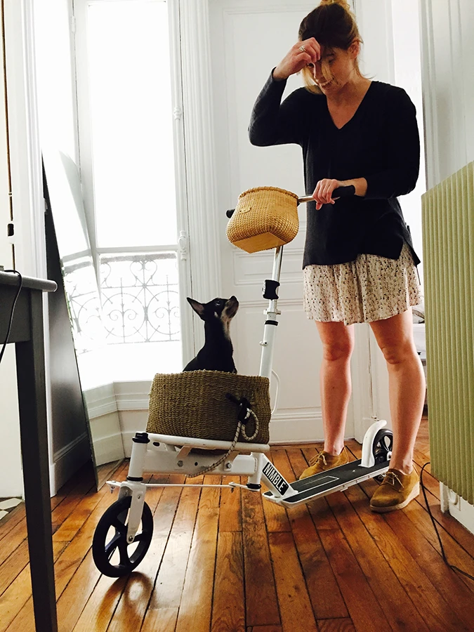 The Urban becomes a pet transporter