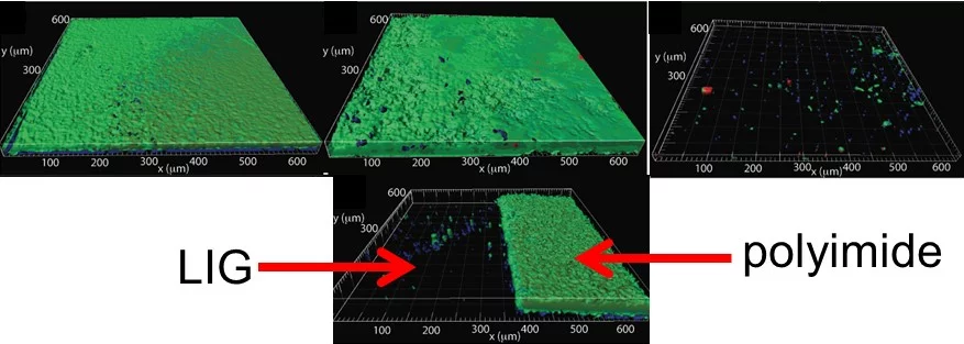 The top row shows the build-up of bacteria (green) on a plain sheet of polyimide (left), graphite (middle), and laser-induced graphene (right), while the bottom shows the clear split between plain polyimide and electrified LIG