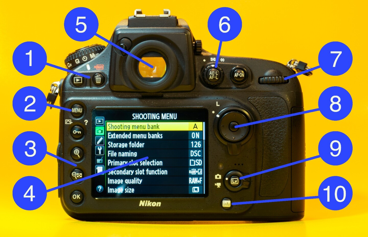 What does what on the back of a DSLR camera
