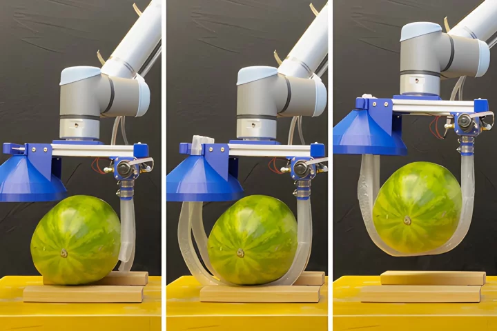 Vine-Like Robot Lifts Delicate Cargo Including Human Bodies