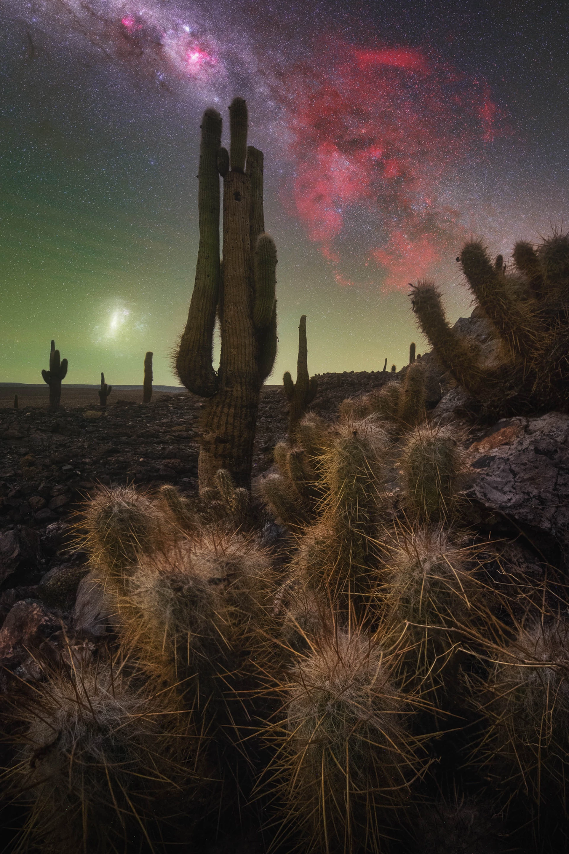 The Cactus Valley by Pablo Ruiz García, taken in Atacama, Chile. The Milky Way shares the sky with the Gum Nebula and the Magellanic Clouds
