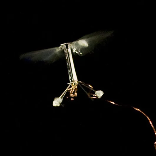 A close-up of Harvard's RoboBee in flight (Photo: Kevin Ma and Pakpong Chirarattananon)