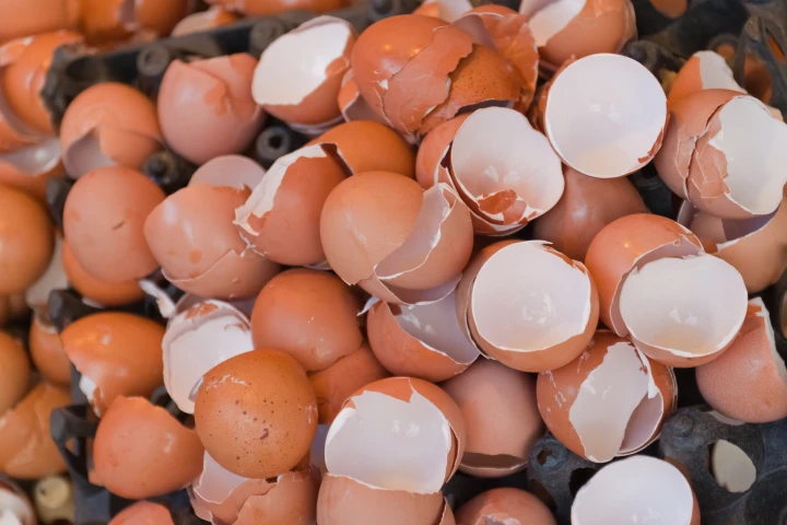 Don't throw those eggshells away – they could be made into ceramics (Photo: Shutterstock)