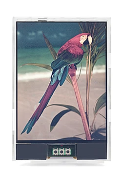 Japan Display's paper-like, color, reflective LCD