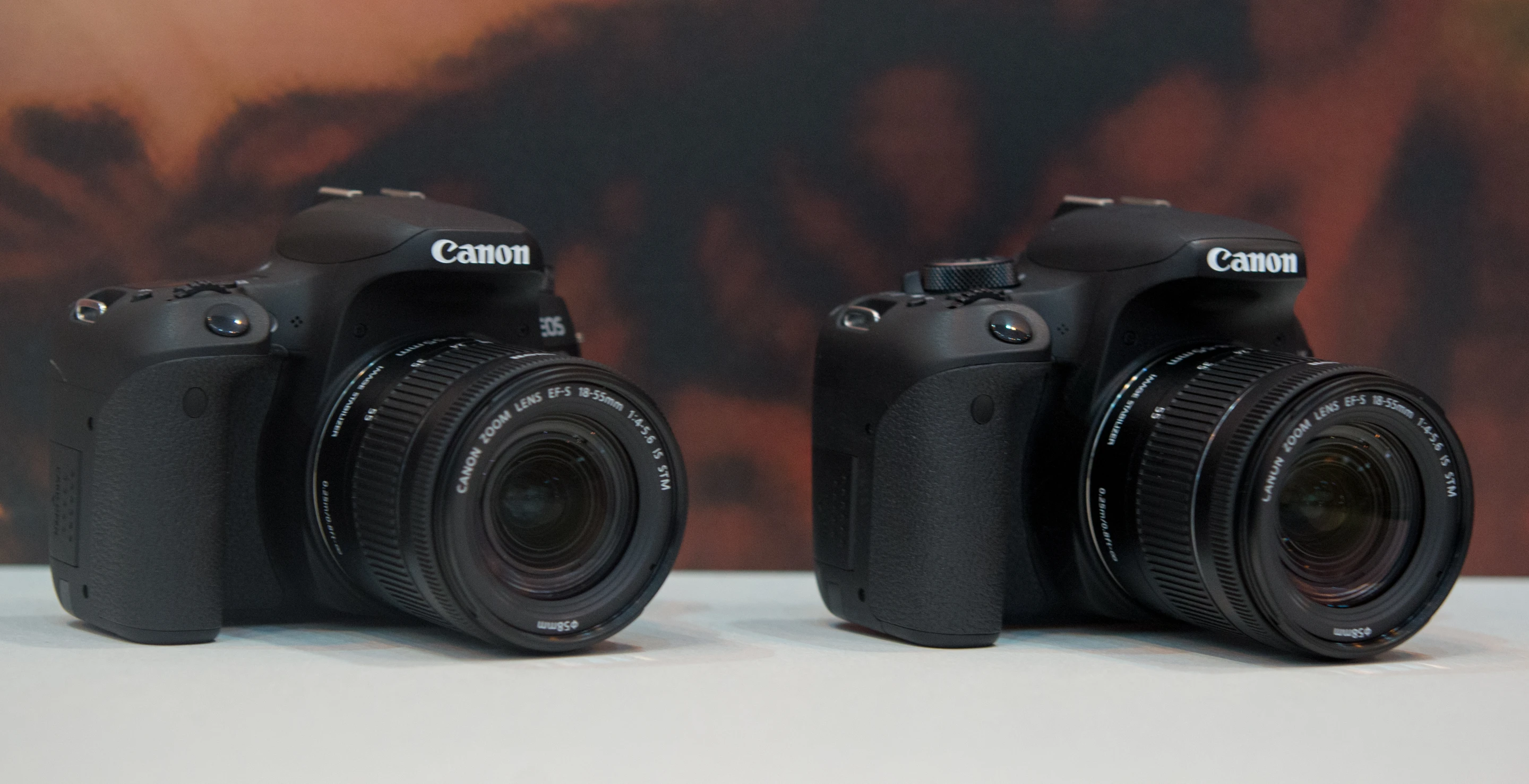 The Canon EOS 77D (left) and Canon EOS 800D (also known as the Rebel T7i) have similar specs, but feel very different to use