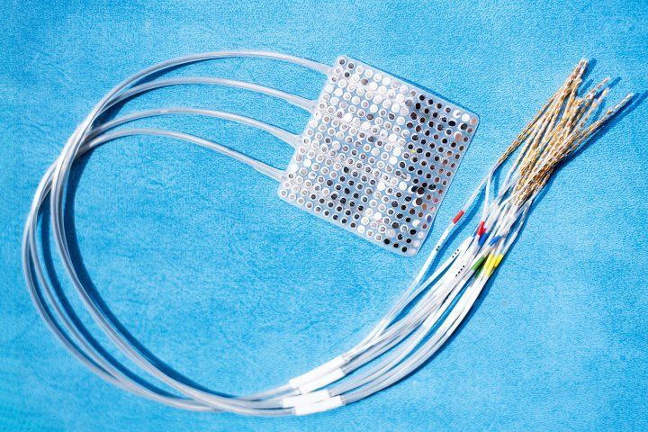 The electrode implants rest on the surface of the brain and record its electrical activity