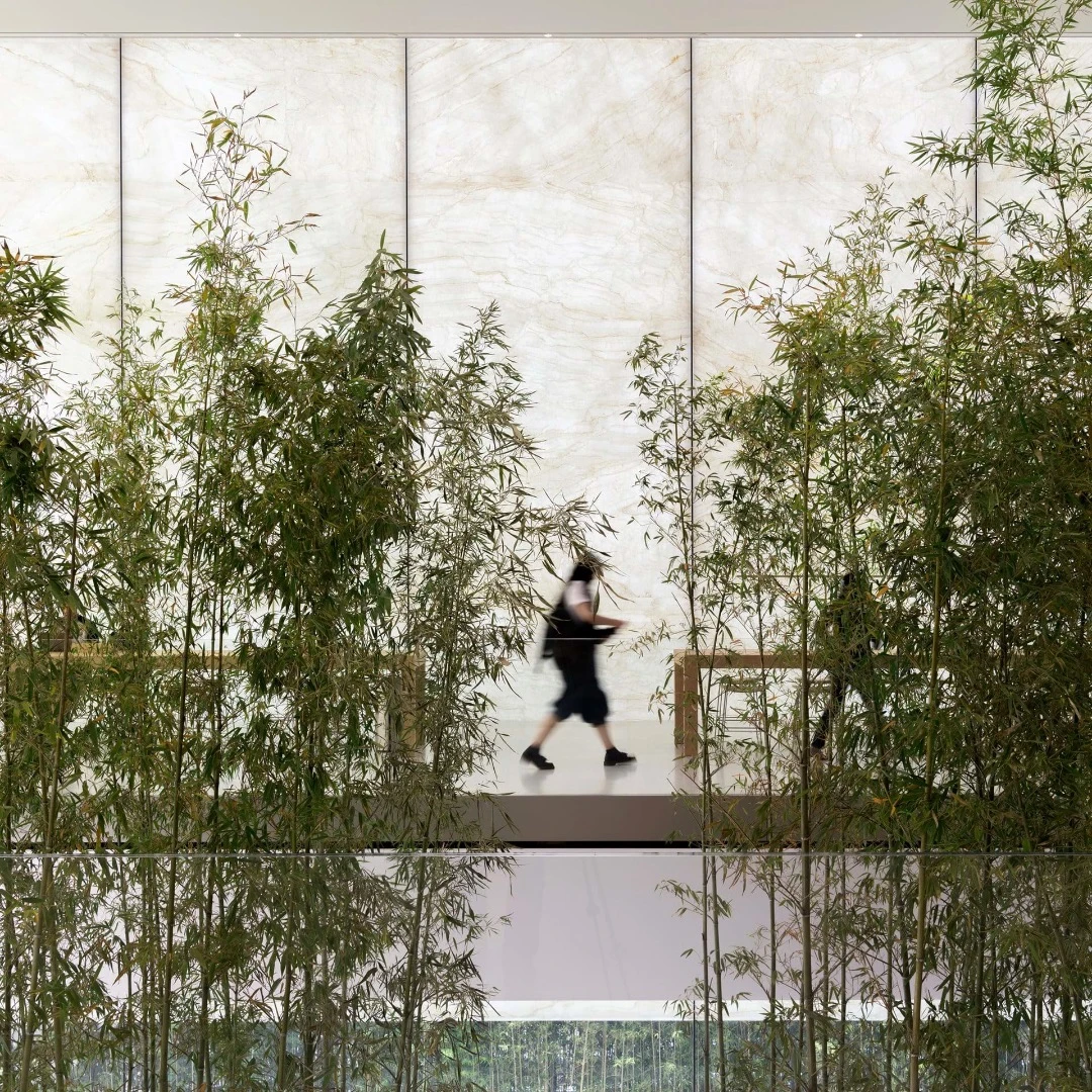 Apple Cotai Central is situated among a bamboo grove