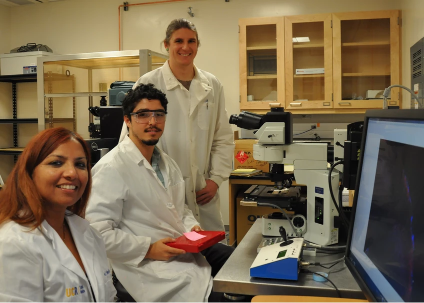 Seema Tiwari-Woodruff (left) with lab staff members Leonardo Martinez-Torres (center) and Jonathan Hasselmann (Photo: Pittalwala, UC Riverside)