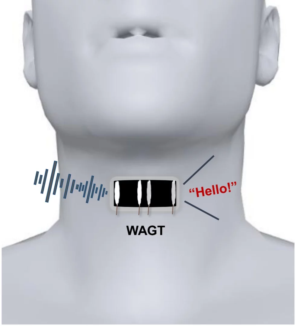 A diagram of the Wearable Artificial Graphene Throat