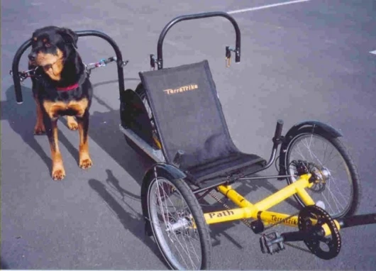 Dog-powered recumbent trike