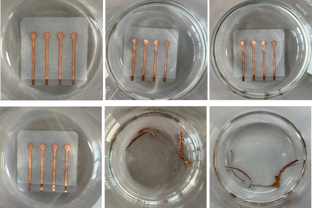 Bacteria-boosted 'living plastic' breaks down on command