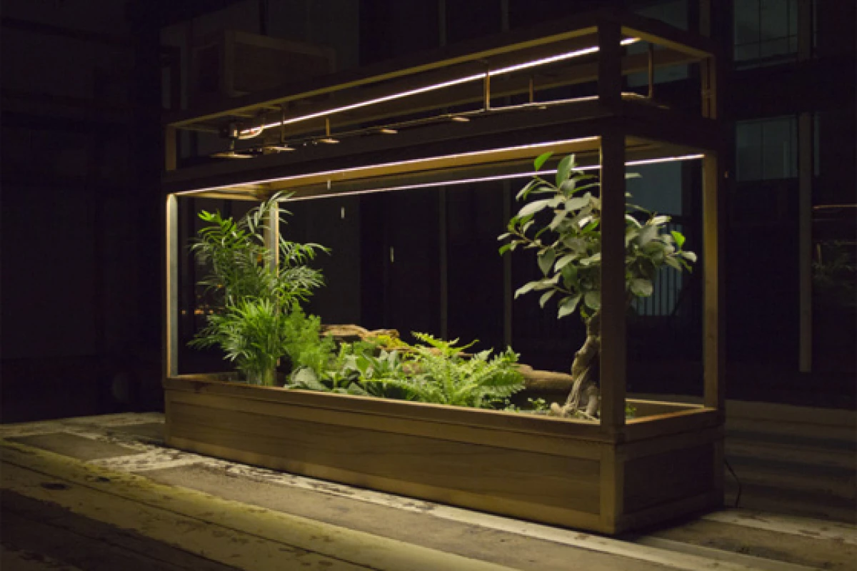 Plant-in City is a smart garden system that uses computer software to monitor water and light