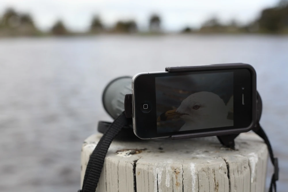Magnifi fits most binoculars on the market