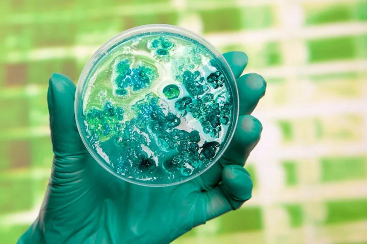 A new directed evolution technique can guide viruses to create new proteins in a matter of days
