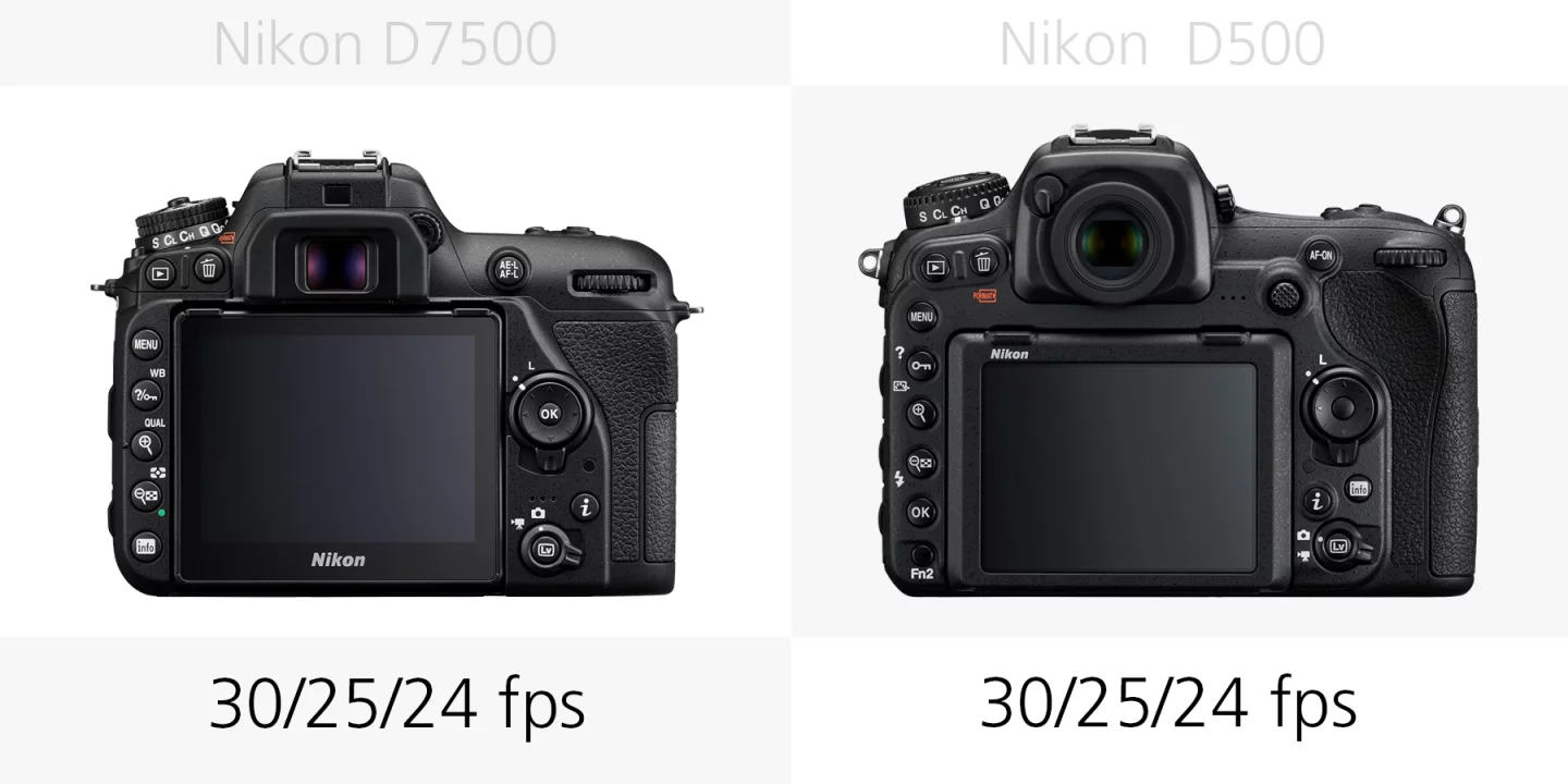 The 4K video frame rates of the Nikon D7500 and Nikon D500 compared