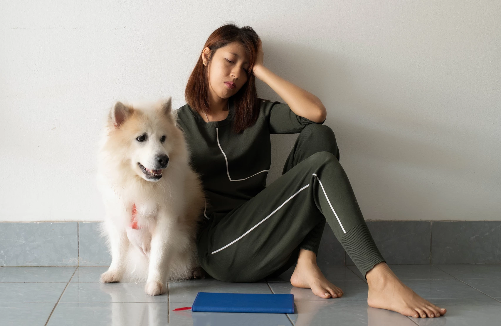 A new study provides "firm" evidence that dogs can detect the smell of stress