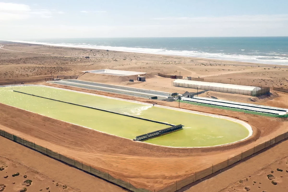 Brilliant Planet says it can slash the cost of direct air carbon capture while de-acidifying the ocean, using carefully selected local strains of algae cultivated in pools of seawater