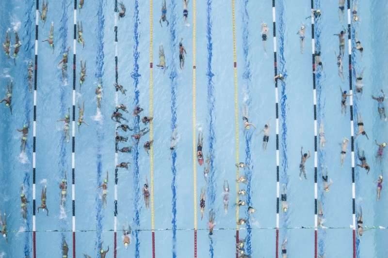 Disciples of Poseidon: Commended in the People category