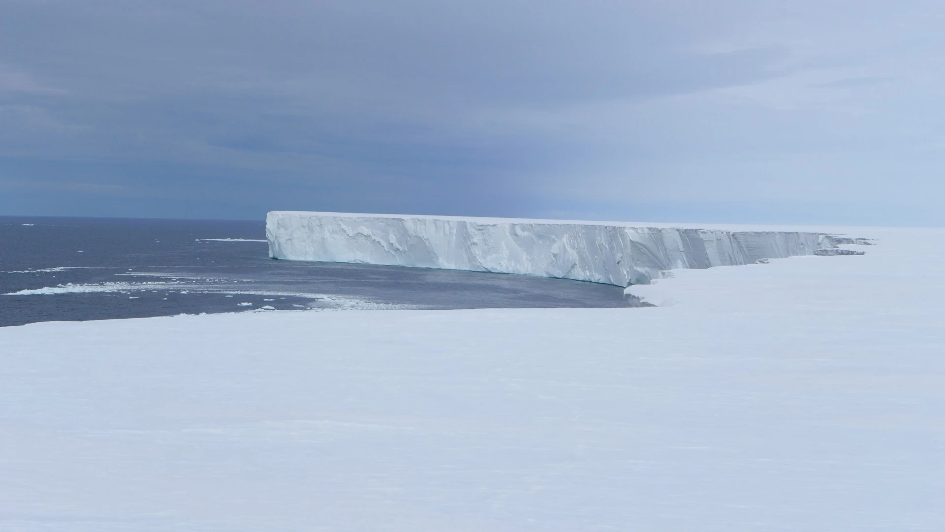 The wall of the Ross Ice Shelf stretches for a staggering 600 km (373 miles) in length