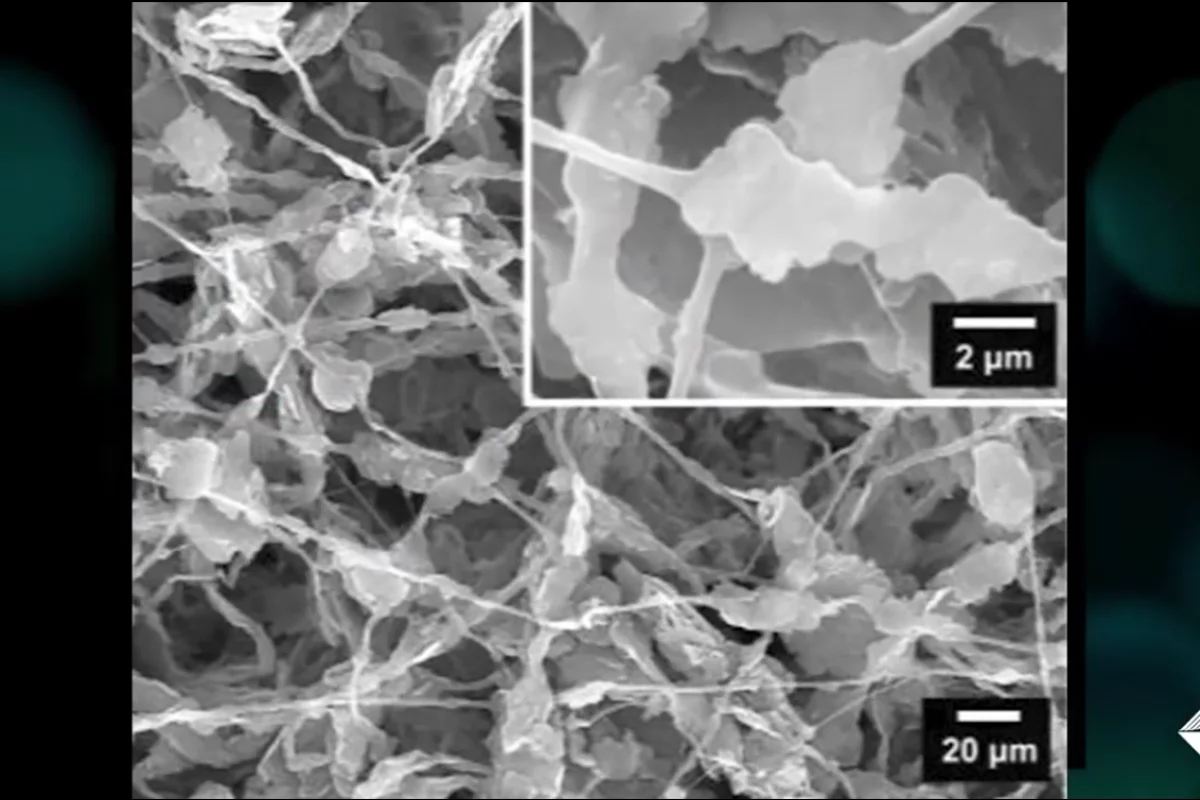 A microscope image of the new cooling material, showing the polyurethane fibers coated with boron nitride