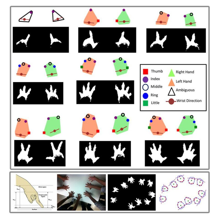 This composite image shows how fingers and hands are computed by the extended multitouch system