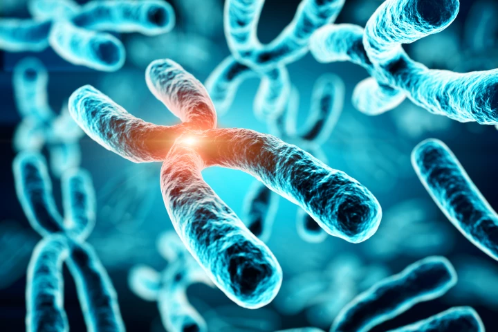 A new discovery paves the way for novel drugs that could help safeguard DNA and slow the aging process