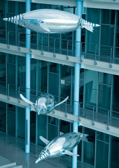 The AirPenguins take to the sky