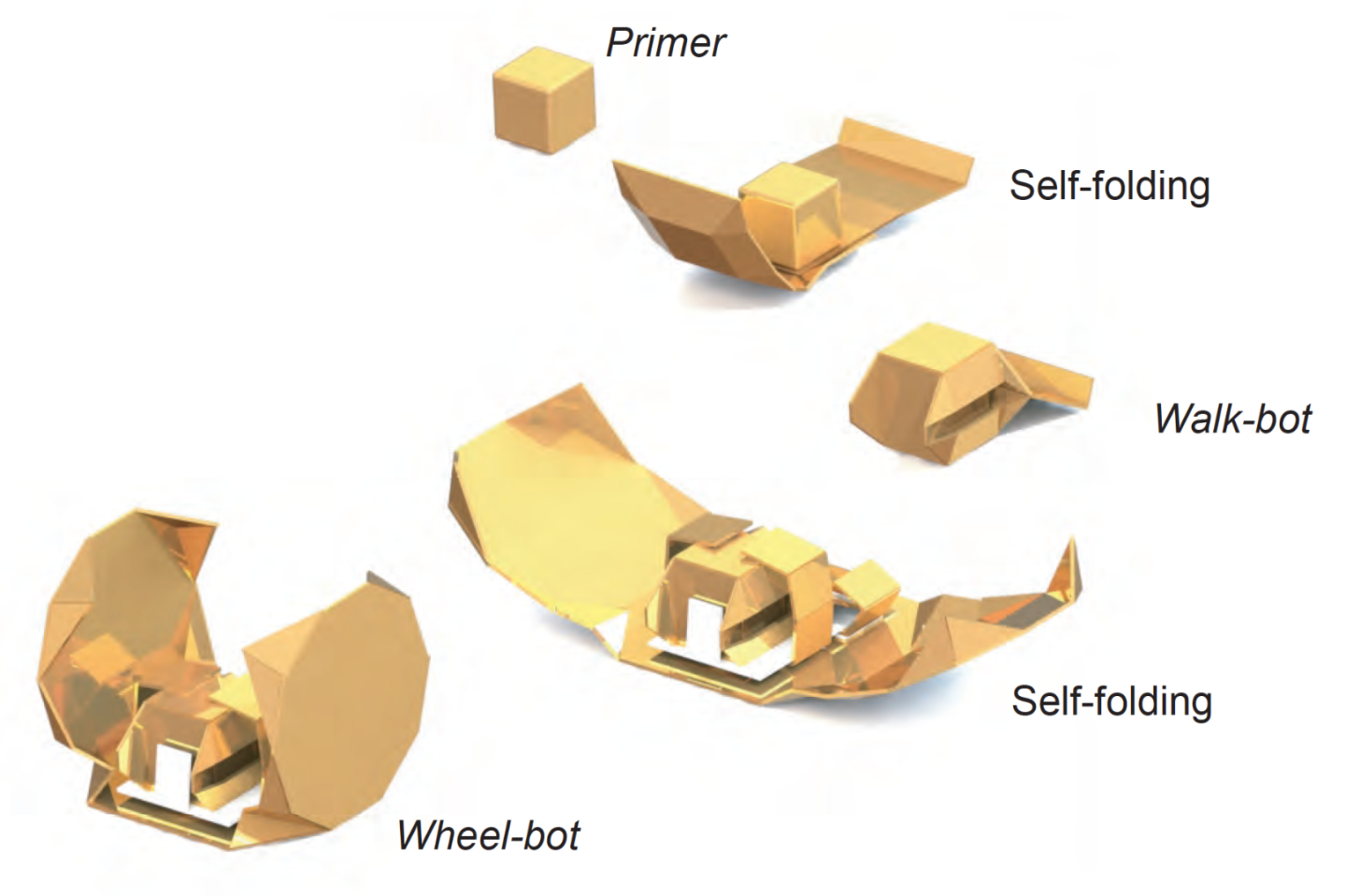 How the exoskeletons nest