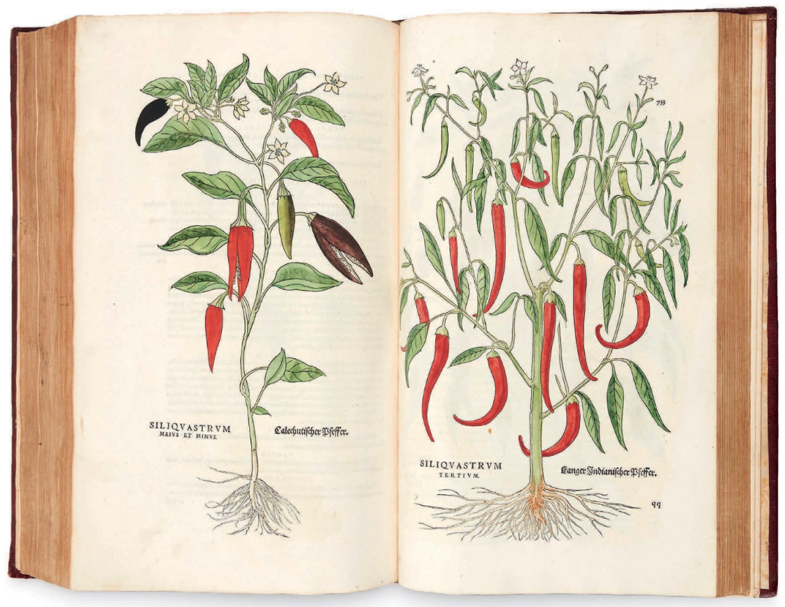 $477,629 | 'Notable Commentaries on the History of Plants' by Leonhart Fuchs | Auction House: Pierre Bergé & Associates | Sale price: €422,659 | Official Estimate: €300,000 to €400,000 | Date of sale: December 14, 2018