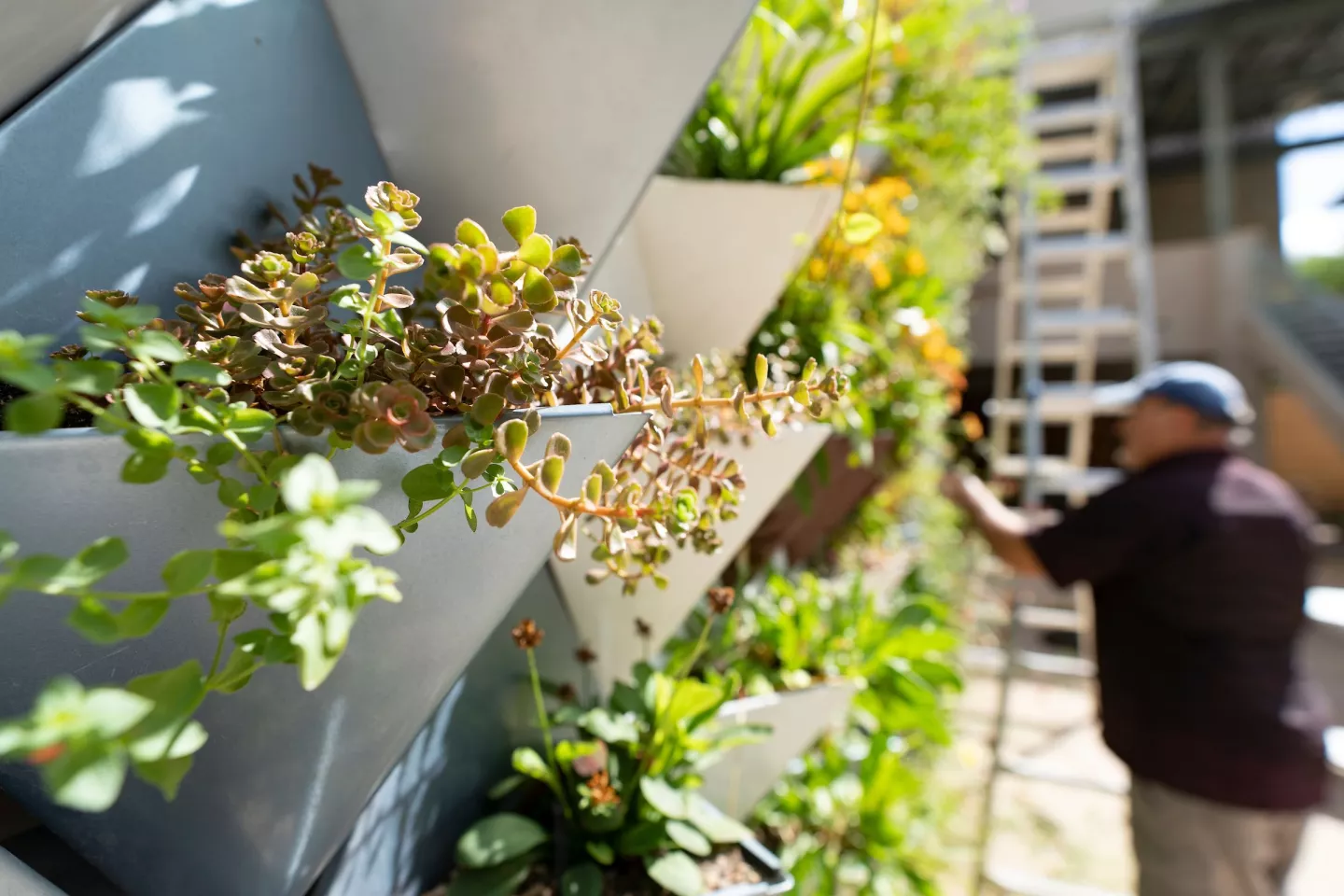 Each modular planter can be removed and replaced as needed