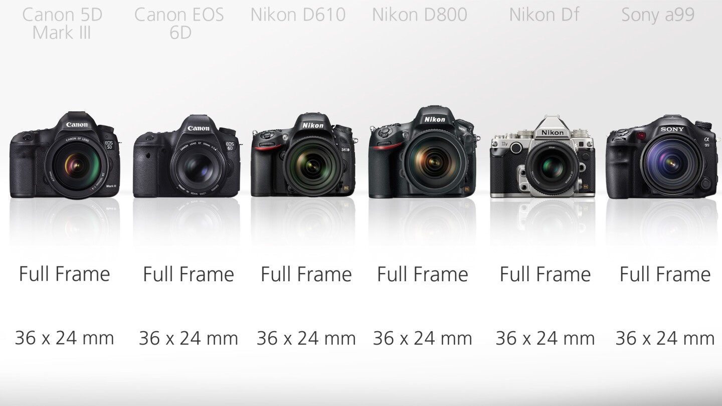 All of the cameras in this line-up feature a large full frame sensor