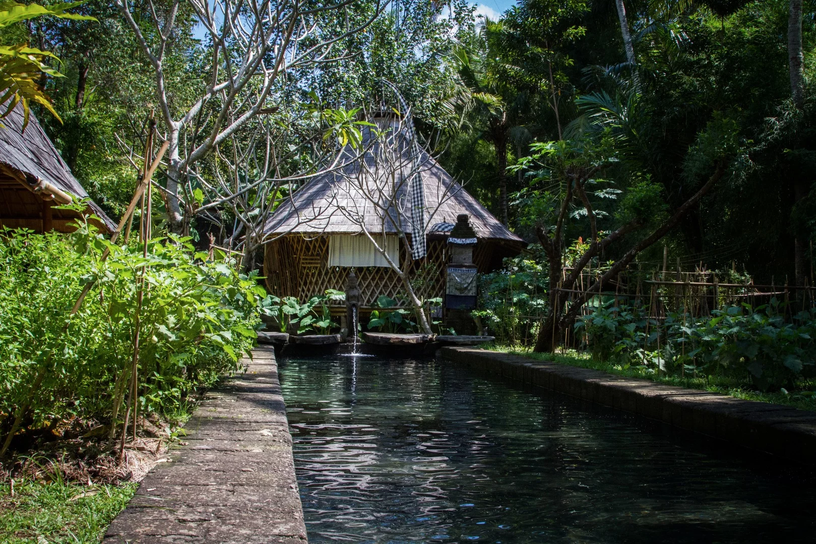 In a brief poolside rundown of the bamboo, our host explains how structural columns are secured to large river rock stones underground with steel and concrete to protect against moisture and earthquakes