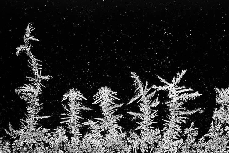 Ice Landscape by Edwin Giesbers was the third place winner in the Intimate Landscapes category of the 2020 Close-up Photographer of the Year. These ice crystals were trapped inside a thermopane glass window over a cold night, reminding the photographer of “a Scandinavian landscape with pine trees and a sky full of stars.”