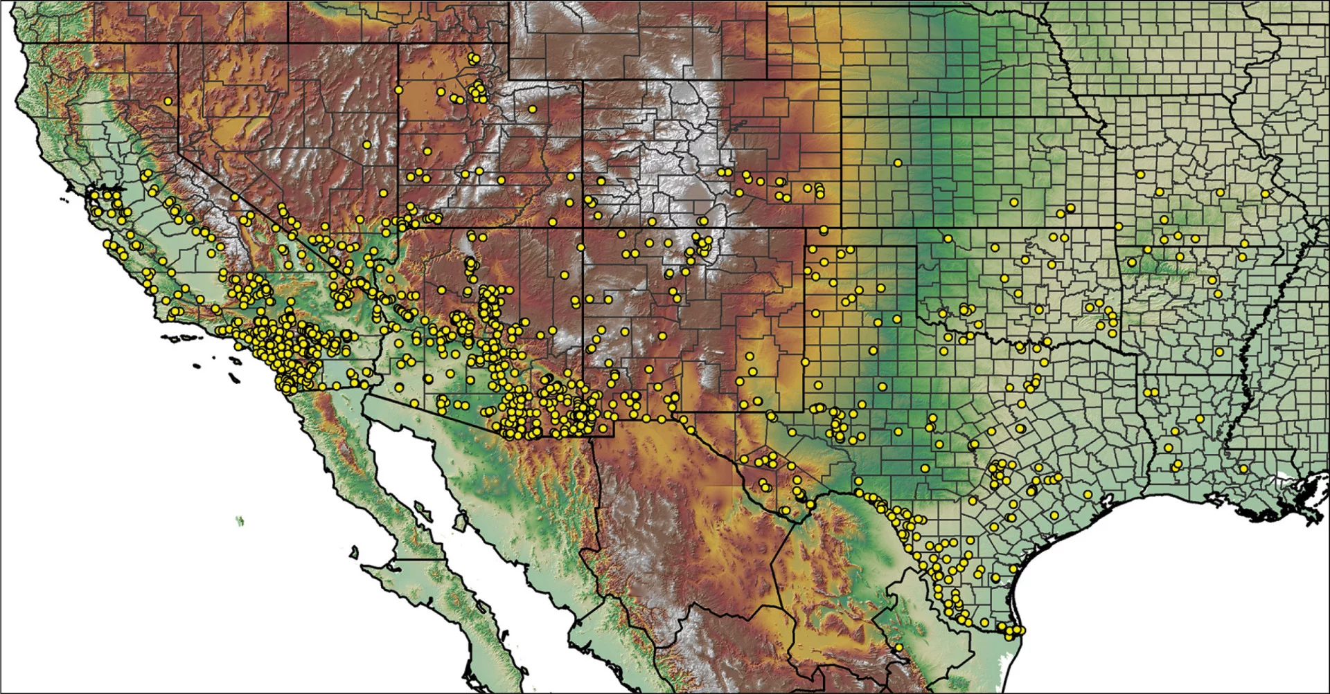 Distribution of tarantula species throughout the U.S.