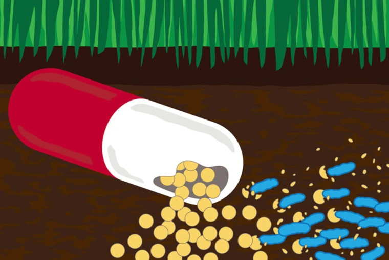 Antibiotics in agricultural and pharmaceutical waste are helping to turn bacteria in soil and water into drug-resistant superbugs – and some are now even eating antibiotics