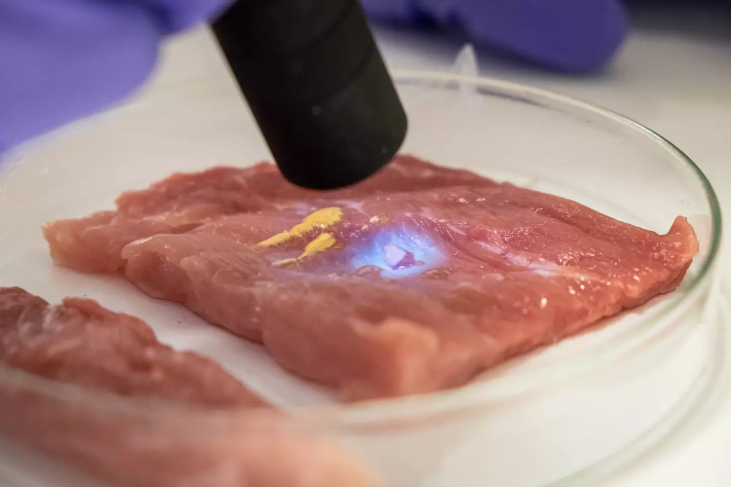 Pictured here on a piece of store-bought meat, CaproGlu could conceivably reduce surgery time by 25 percent