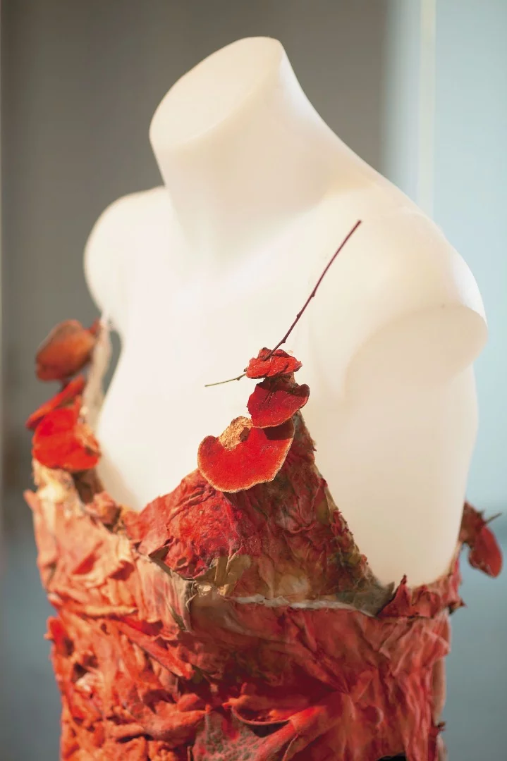 Australian artist Donna Franklin makes clothes out of living organisms. This piece, Fibre Reactive, is made out of a living fungi