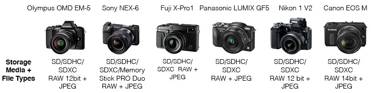 Mirrorless camera comparison - Storage Media